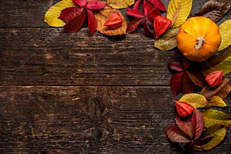 Happy Thanksgiving. Pumpkin and fallen leaves on dark wooden background. Autumn vegetables and seasonal decorations.