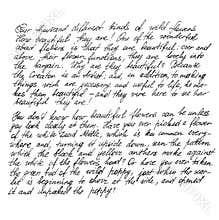 Undefined text english words Handwritten letter Calligraphy