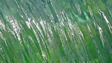 Greeen clean flowing water