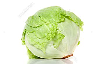 Iceberg lettuce