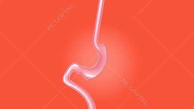 Footage of human inside body parts .