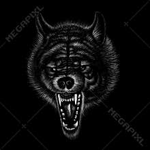 111animals,wolf, dog, old, drawing, vector, illustration, t shirt, design, isolated, jaws, teeth, motorcycle, graphic, painting, h