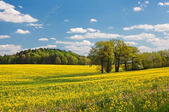 Spring in Poland