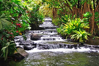 Tabacon hot springs, Costa Rica