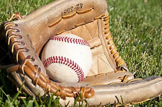 Baseball glove