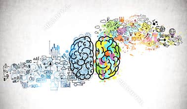 Colorful brain sketch on concrete wall