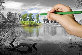 Environment