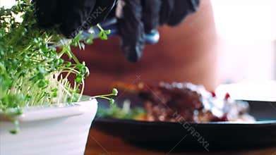Chef adding a microgreens on roasted duck at restaurant