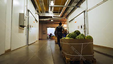 Employee pulls cart with watermelons along warehouse