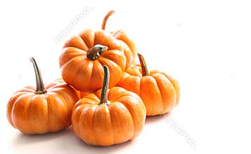 Small pumpkins on white on white
