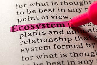 ecosystem