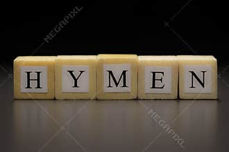 The word HYMEN written on wooden cubes, isolated on a black background