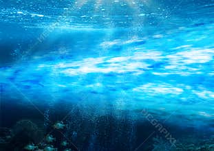 Gulf Stream Underwater in the Atlantic