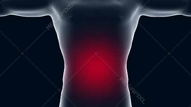 3d animation human body, healthcare and medical topics