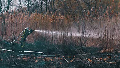 Two Firefighters in Equipment Extinguish Forest Fire with Fire Hose. Slow Motion