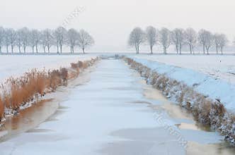 Winter landscape
