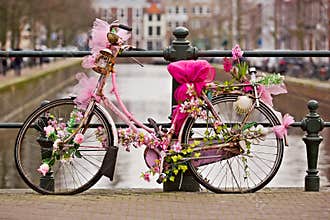 Ornate Bicycle on the Canal