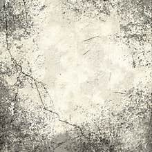 Cement Wall