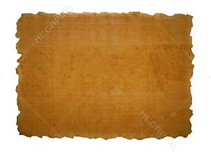 Piece of papyrus texture