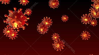 Corona Virus - the SARS Cov 2 Virus