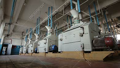 Manufacture of flour. Roller mills in flour milling plant
