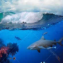 Underwater ocean story with surfer and shark