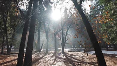 Yosemite Valley on Sunny Morning. California, USA