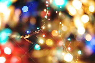 Holiday lights