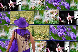 Memories of nature. Be creativ, let the nature come inside - just in your fantasy! Woman stays home, watchs pictures of nature.