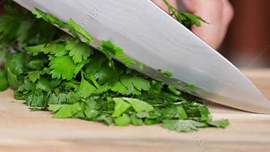 Chopping fresh green parsley with kitchen knife
