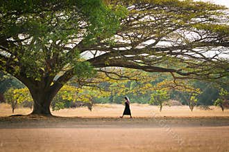Girl walking under a big tree