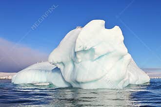 Iceberg