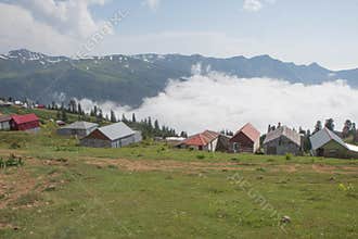 Beautiful view of idyllic mountain scenery. Farm in green Caucasus meadows in Ozurgeti city