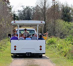 Nature Tour At Circle B Bar Reserve