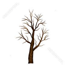 Dry tree png Transparent background type 17.