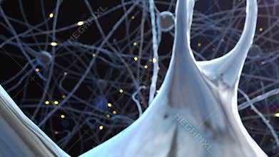 Flying backwards through nervous system between nerves and nerve synapses