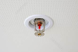 Fire sprinkler