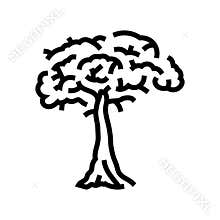 kapok tree jungle amazon line icon vector illustration