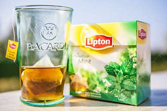 Bacardi feat Lipton