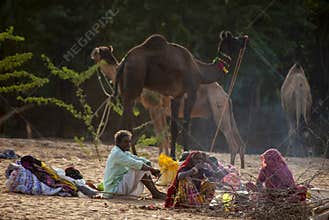 Camels and families at Pushkar Fair ground