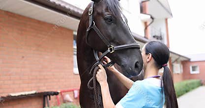 Female veterinarian stroking thoroughbred horse on farm 4k movie