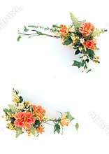 Floral Frame-10
