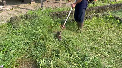 Workers cut weeds in the yard using a lawn mower