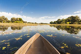Dugout trip in Botswana. Canoe tour through flooded Okavango Delta, Botswana