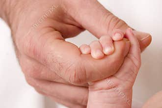 Little Hand in Big Hand Color