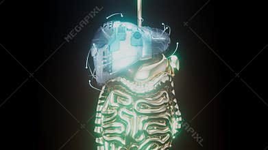 abstract view of a bionic liver