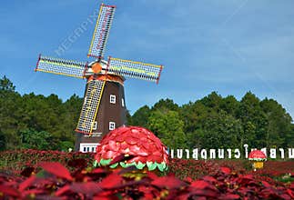 Windmill on loi