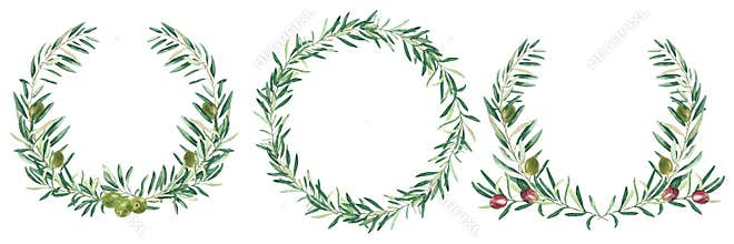 Watercolor olive wreaths. Circle frames, borders green and red fruits. Isolated on white background. Hand drawn