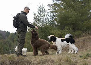Working with Animals - Dog Whisperer