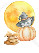 The cat looks out from behind the pumpkin
